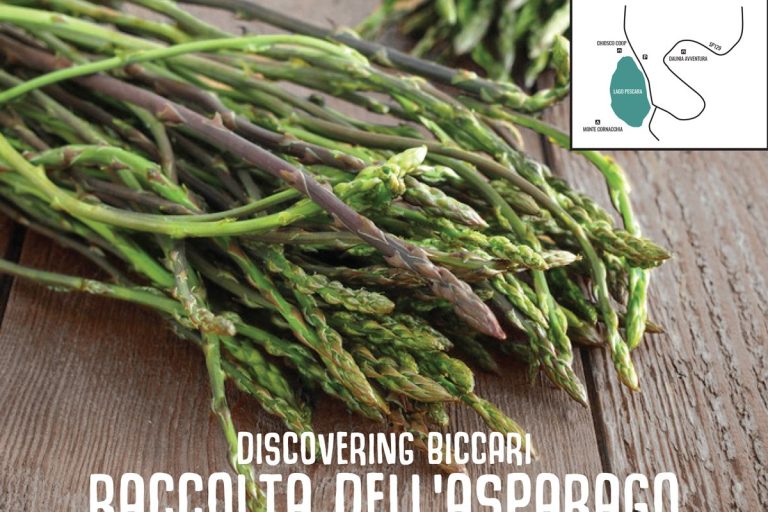 20-maggio-raccolta-dell-asparago