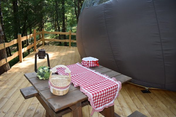 Bubble Room - buono acquisto Estate 2025 - immagine 7