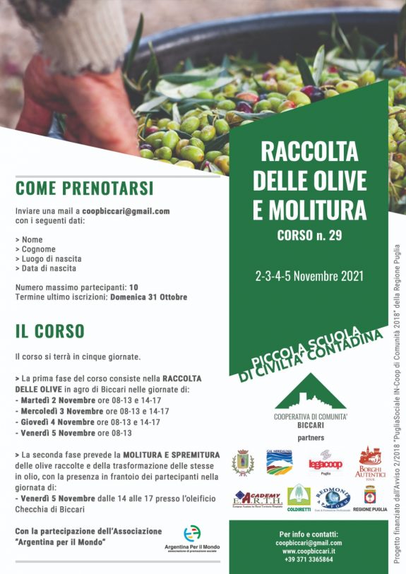 Corso n.29-Raccolte olive e molitura