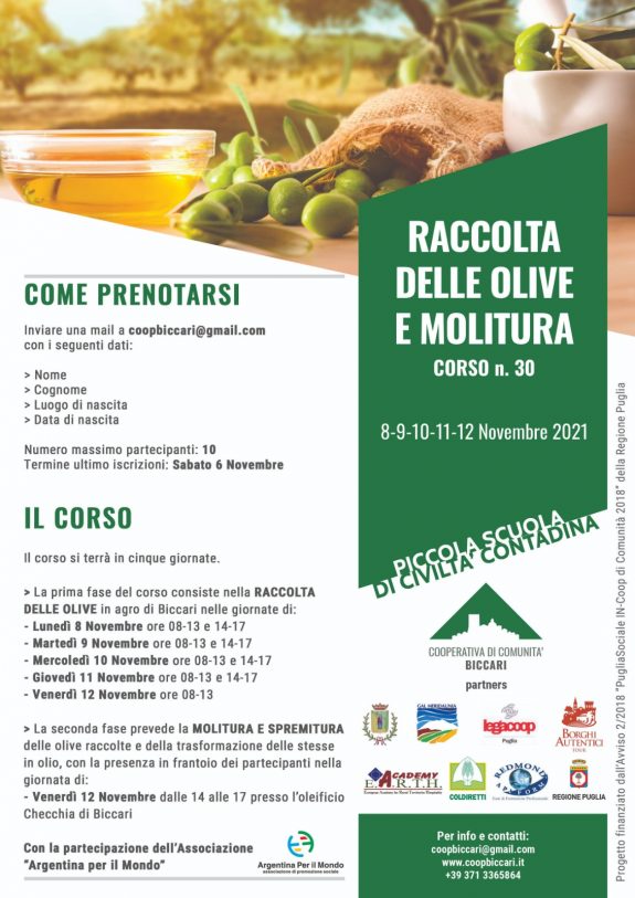 Corso n.30-Raccolte olive e molitura 2