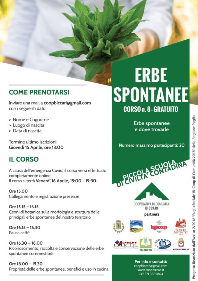 Corso n.8-Erbe Spontanee