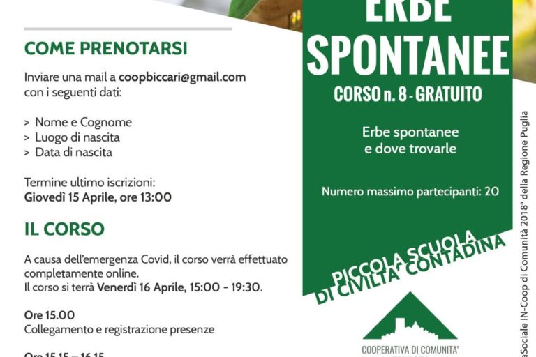 Corso n.8-Erbe Spontanee