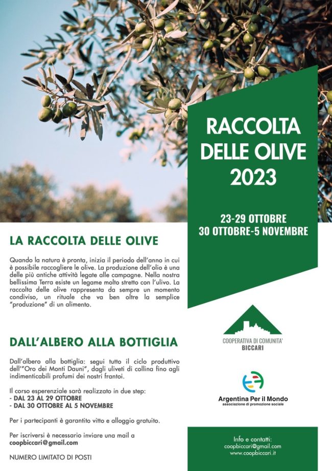 coopbiccari-corso-raccolta-delle-olive