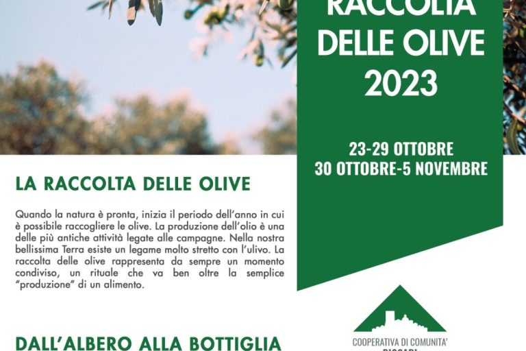 coopbiccari-corso-raccolta-delle-olive
